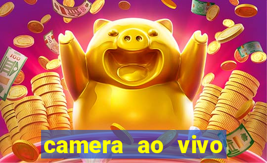 camera ao vivo beto carrero